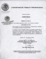 Constancia STPS